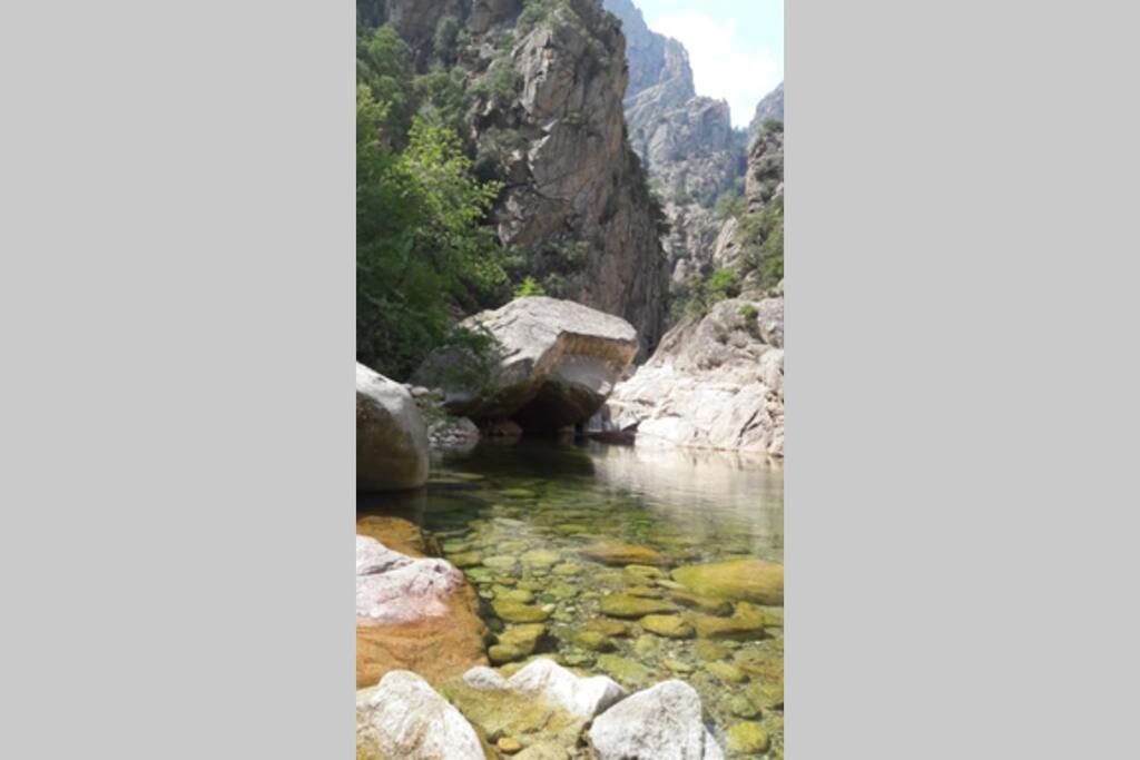 Appartement Les Pieds Dans L'Eau 300 M Plage - 2 Piscines Linguizzetta Exteriör bild