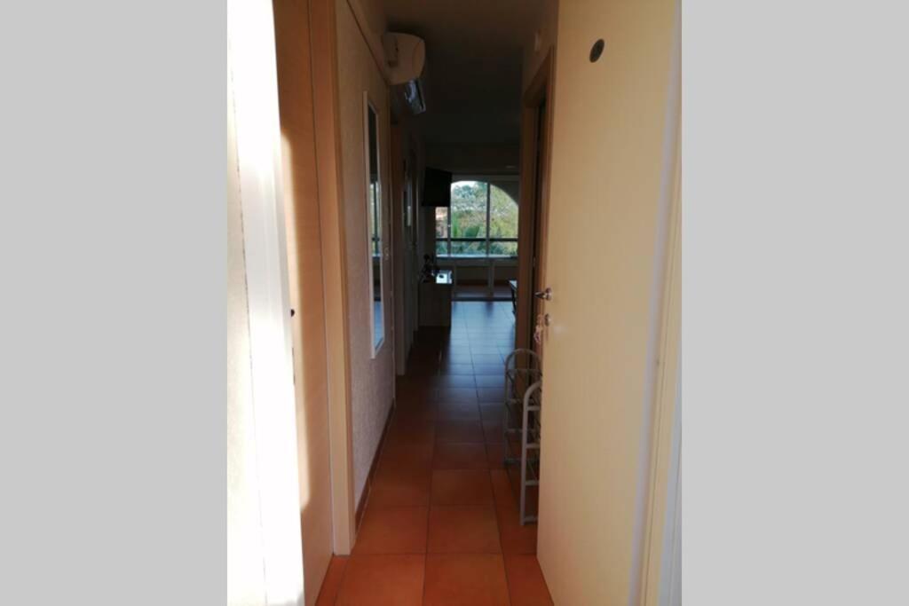 Appartement Les Pieds Dans L'Eau 300 M Plage - 2 Piscines Linguizzetta Exteriör bild